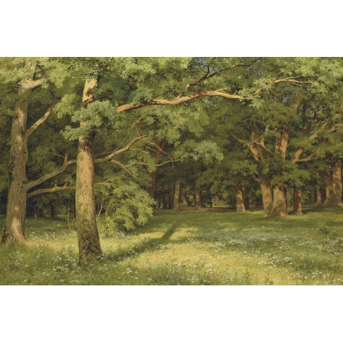 The forest clearing 1896