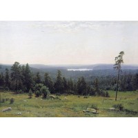 The forest horizons 1884