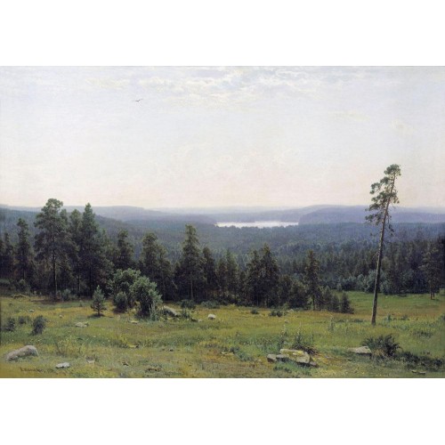 The forest horizons 1884