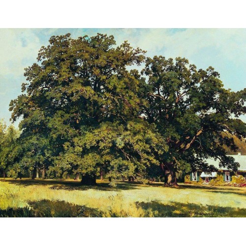 The mordvinovo oaks 1891