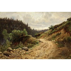 The road 1878