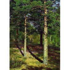 The sun lit pines 1886