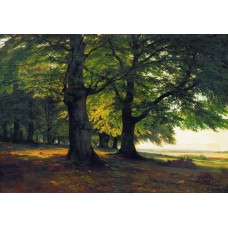 The teutoburg forest 1865