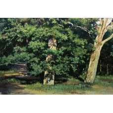 Trees 1