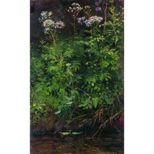 Wildflowers near the water 1890