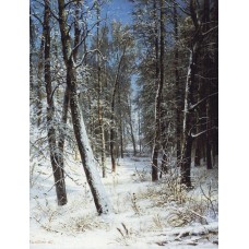 Winter in a forest rime 1877