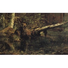 Wood shmetsk near narva 1888