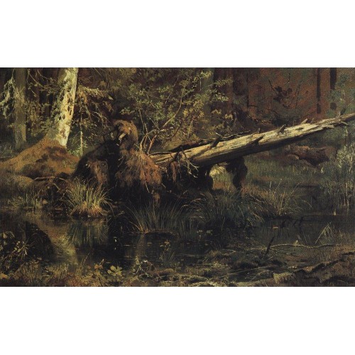 Wood shmetsk near narva 1888