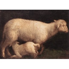 Sheep and Lamb