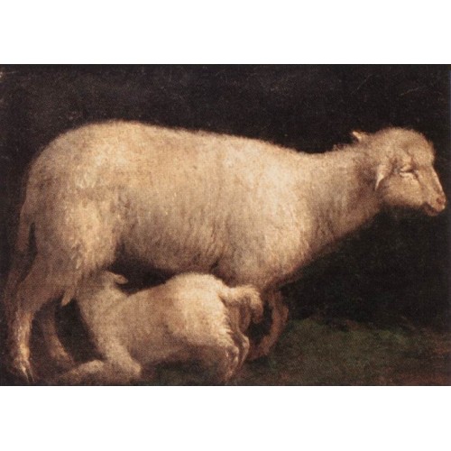 Sheep and Lamb