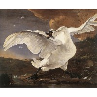 The Threatened Swan