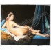 Grande Odalisque - oil painting reproduction