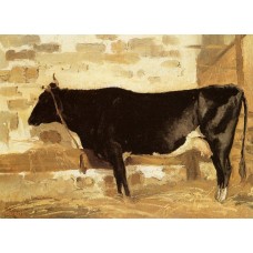 Cow in a Stable
