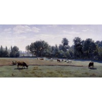 Marcoussis Cows Grazing