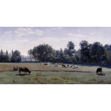 Marcoussis Cows Grazing