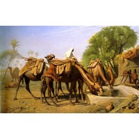Camels at the Trough