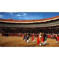 Plaza de Toros The Entry of the Bull