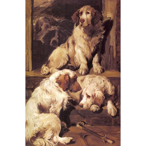 Clumber Spaniels