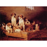 Foxhounds and Terriers in a Kennel