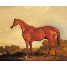 A Portrait of the Racehorse Harkaway the Winner of Goodwood