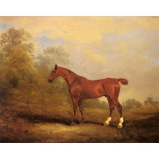 Cecil a favorite Hunter of the Earl of Jersey in a Landscap