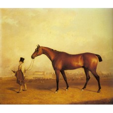 Emlius Winter of the Derby held by a Groom at Doncaster
