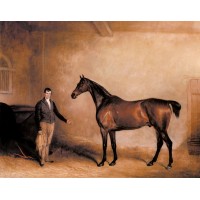 Mr Hogg's Claxton and a Groom in a Stable