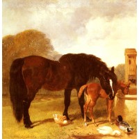 Horse and Foal watering at a trough