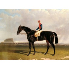 Lord Chesterfield's Industry with William Scott up at Epsom