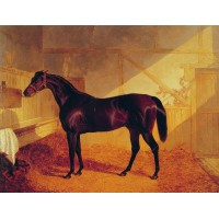 Mr Johnstone's Charles XII in a Stable