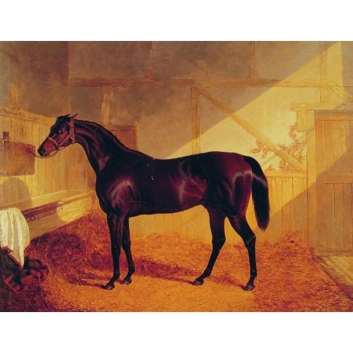 Mr Johnstone's Charles XII in a Stable