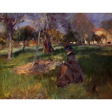 In the Orchard