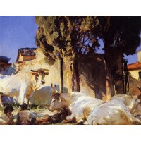 Oxen Resting