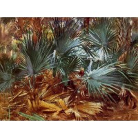 Palmettos