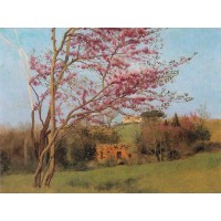 Landscape Blossoming Red Almond