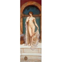 Venus at the Bath