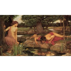 Echo and Narcissus