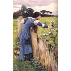 The Flower Picker