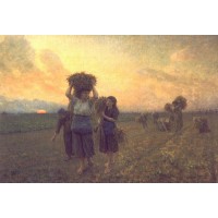 The Last Gleanings