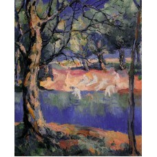 River in forest 1908