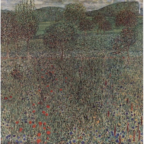 Blooming field