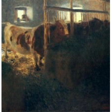 Cows in a stall