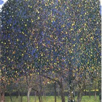 Pear tree