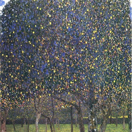 Pear tree