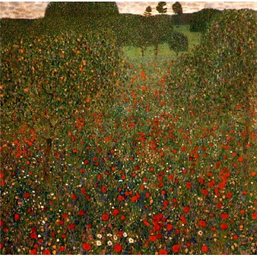 Poppy field 2