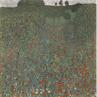 Poppy field