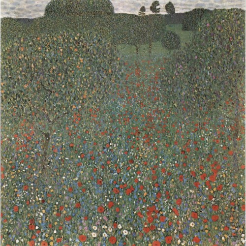 Poppy field