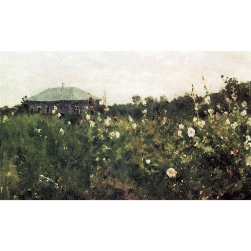 Hollyhocks in the saratov region 1889