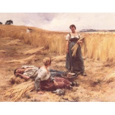 Harvesters at Mont Saint Pere