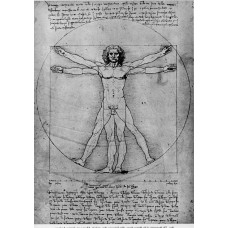 Vitruvian Man